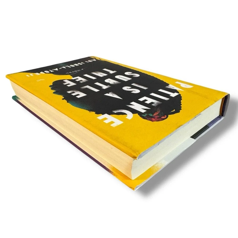 Patience Is a Subtle Thief: A Novel - Hardcover HD DJ By‎ Ishola-Ayodeji, Abi